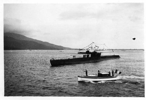 ZRC GRANDS FONDS MN64 EDITION LIMITEE PHENIX – GF42168PH