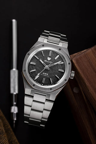 Nivada Grenchen F77 - Meteorite 68016A77